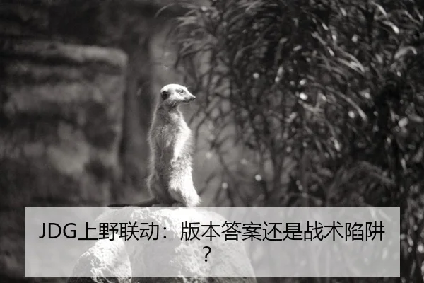 JDG上野联动：版本答案还是战术陷阱？
