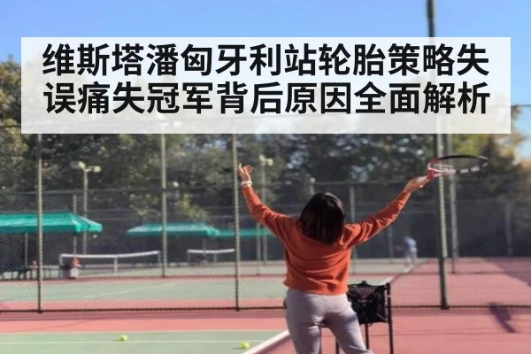 维斯塔潘匈牙利站轮胎策略失误痛失冠军背后原因全面解析